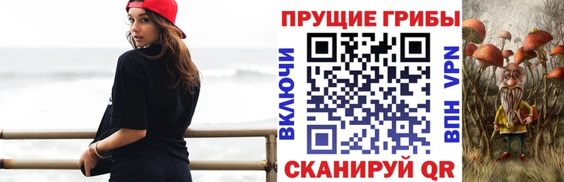 Псилоцибиновые грибы мицелий  Купить закладки  Геленджик 